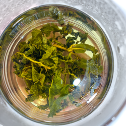 Дун Дин Улун АА Тайвань (Улун с горы Морозный Пик)