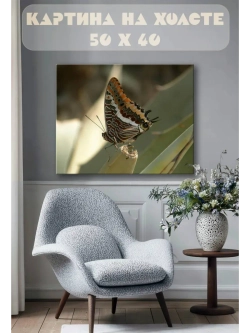 Картина на стену 40 X 50 Бабочка