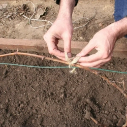 Проволока для шпалеры 3 мм 50 метров (толщина стальной проволоки 1.8 мм с полимером 3 мм ) Зеленая