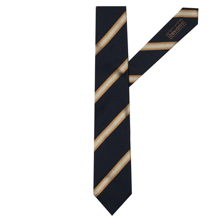 Галстук GIUGIARO