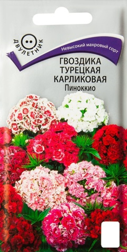 Гвоздика турецкая Карликовая Пиноккио