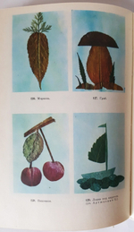 "Аппликация". Гусакова М.А