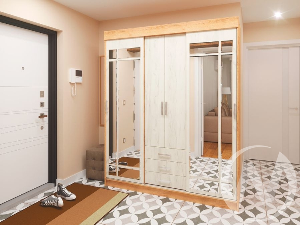 Шкаф-купе Лидер 1К