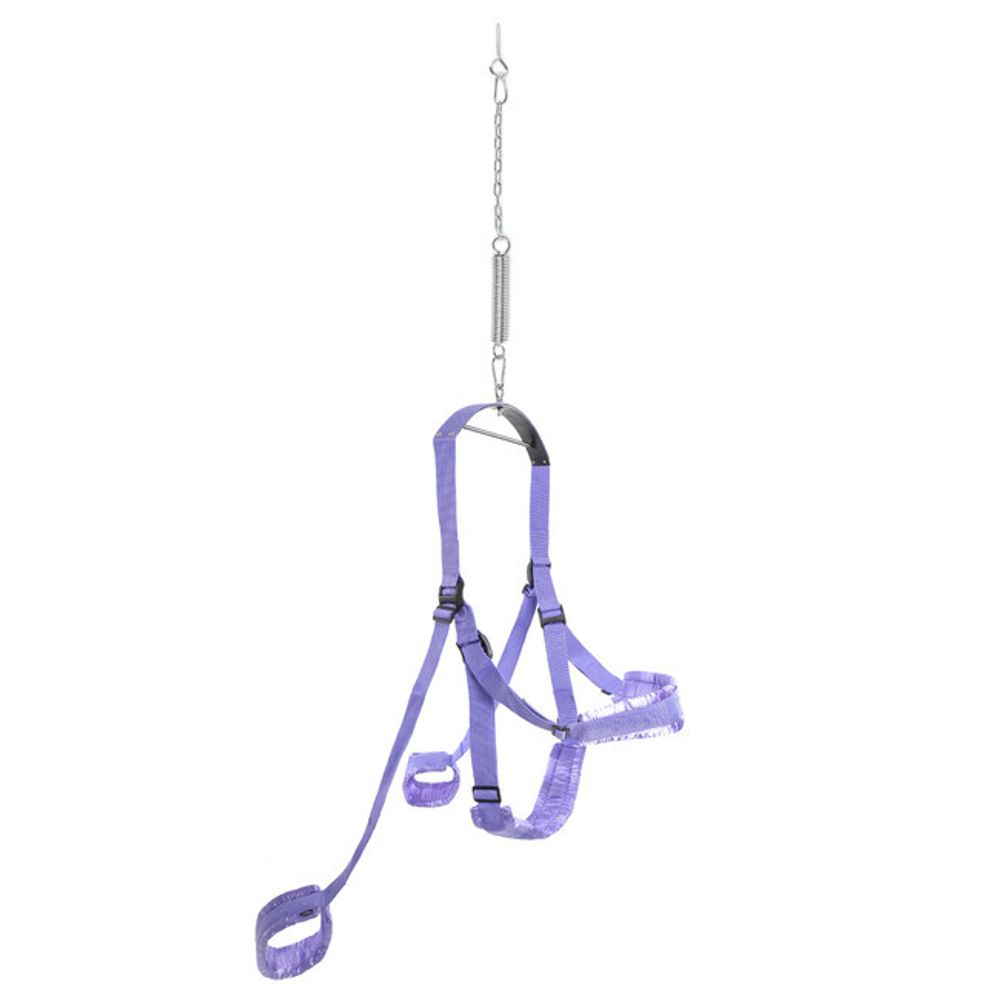 Spinning Fantasy Swing Секс качели подвешивающиеся к потолку (фиолетовый). (Цвет: фиолетовый)