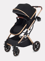 Коляска трансформер Rant Basic Pulsar Gold Black