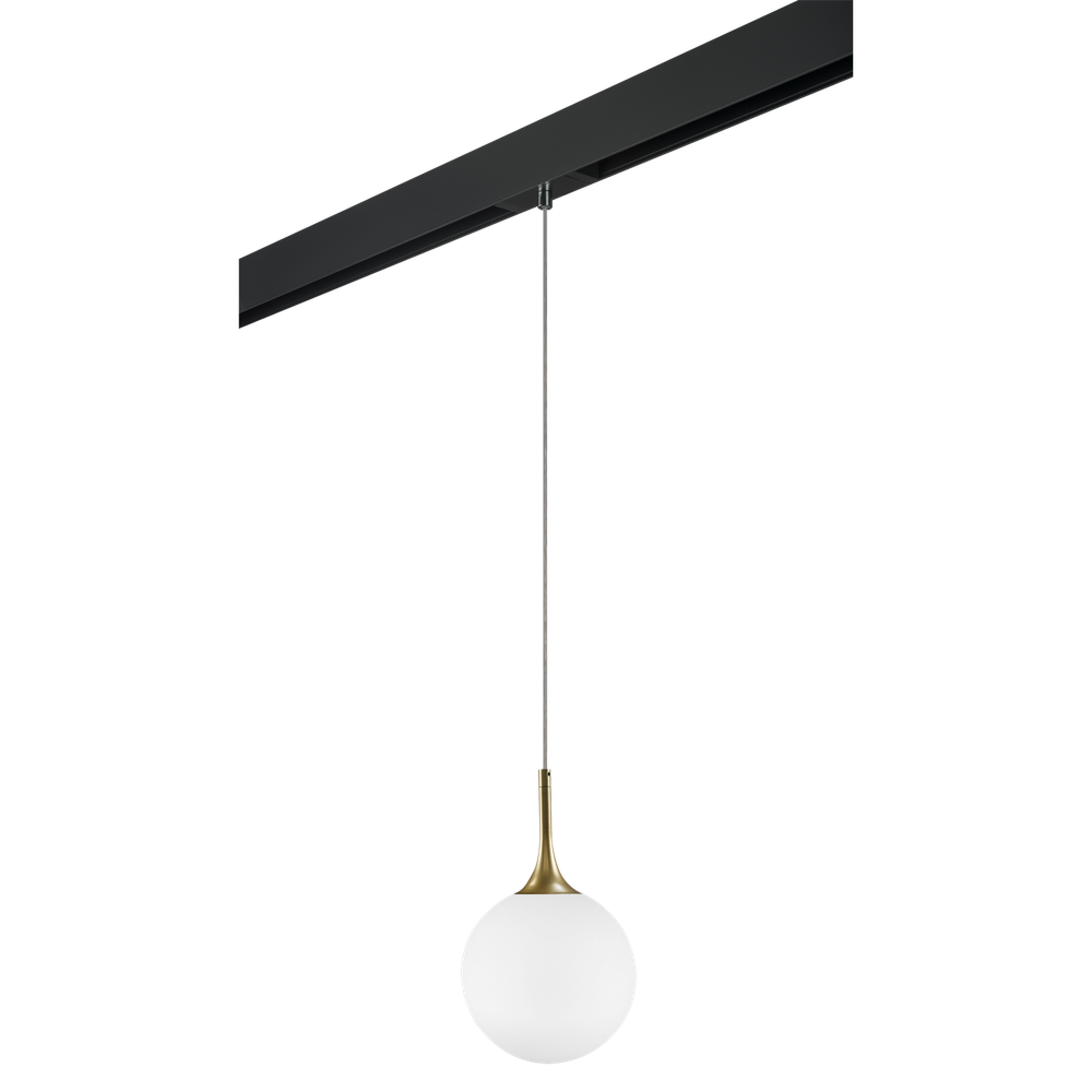 Трековый светильник Lightstar Globo PRO813022