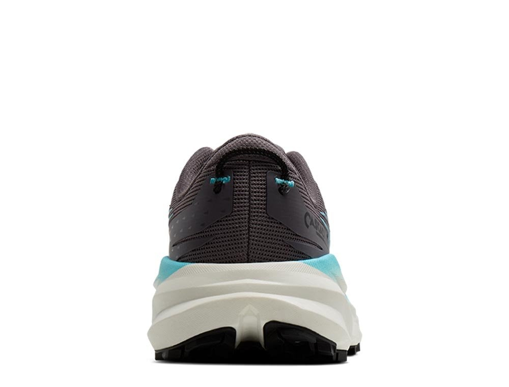Женские кроссовки для бега Brooks Cascadia 19 W Коричнево-Blue