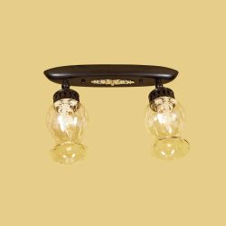 Citilux Метафора CL413121 Светильник с поворотными плафонами