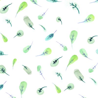 Милые акварельные маленькие листики на белом фоне