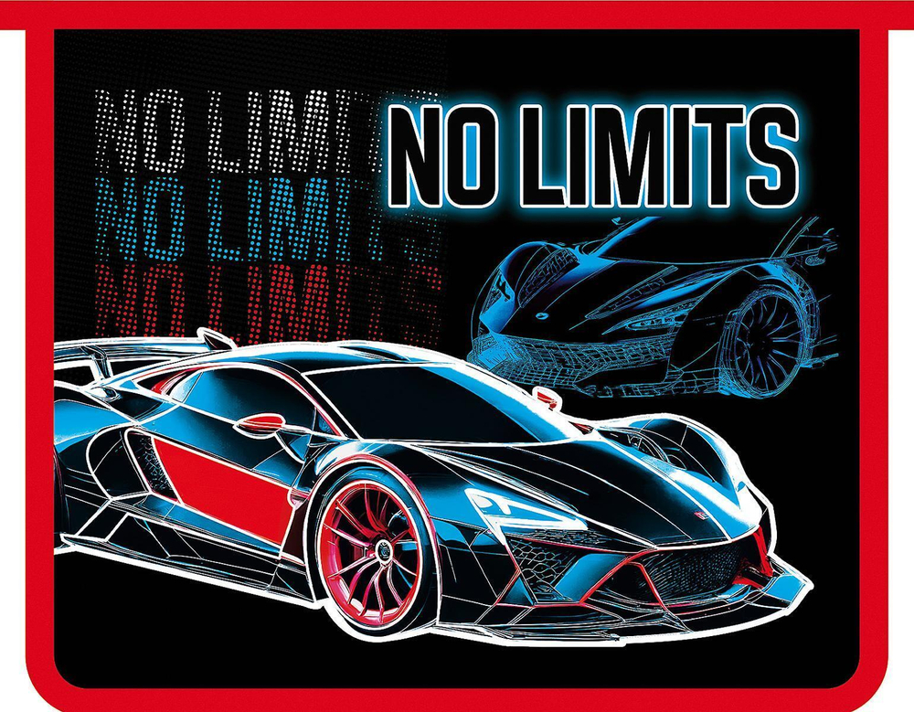 Папка д/тетрадей А5 пластиковая, молния сверху 230/190/50 "No limits 2025" (Пчелка)