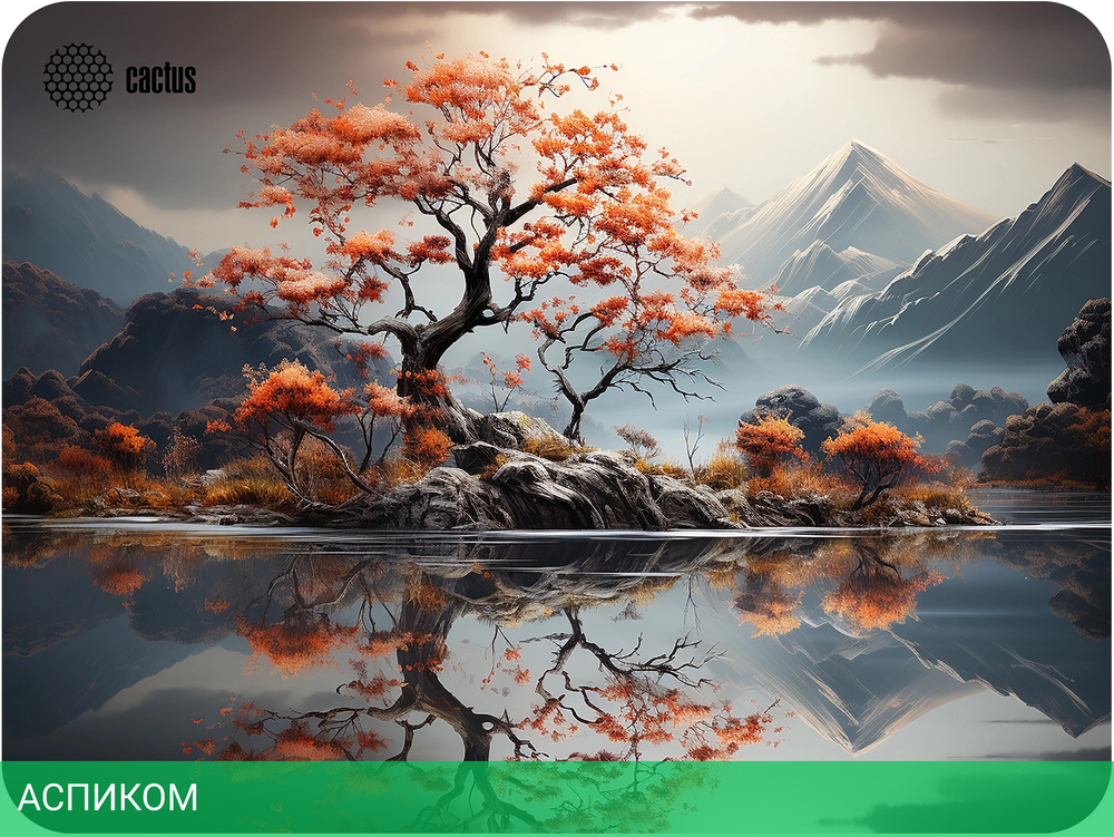 Коврик для мыши Cactus Lake (CS-MP-PRO18XL)
