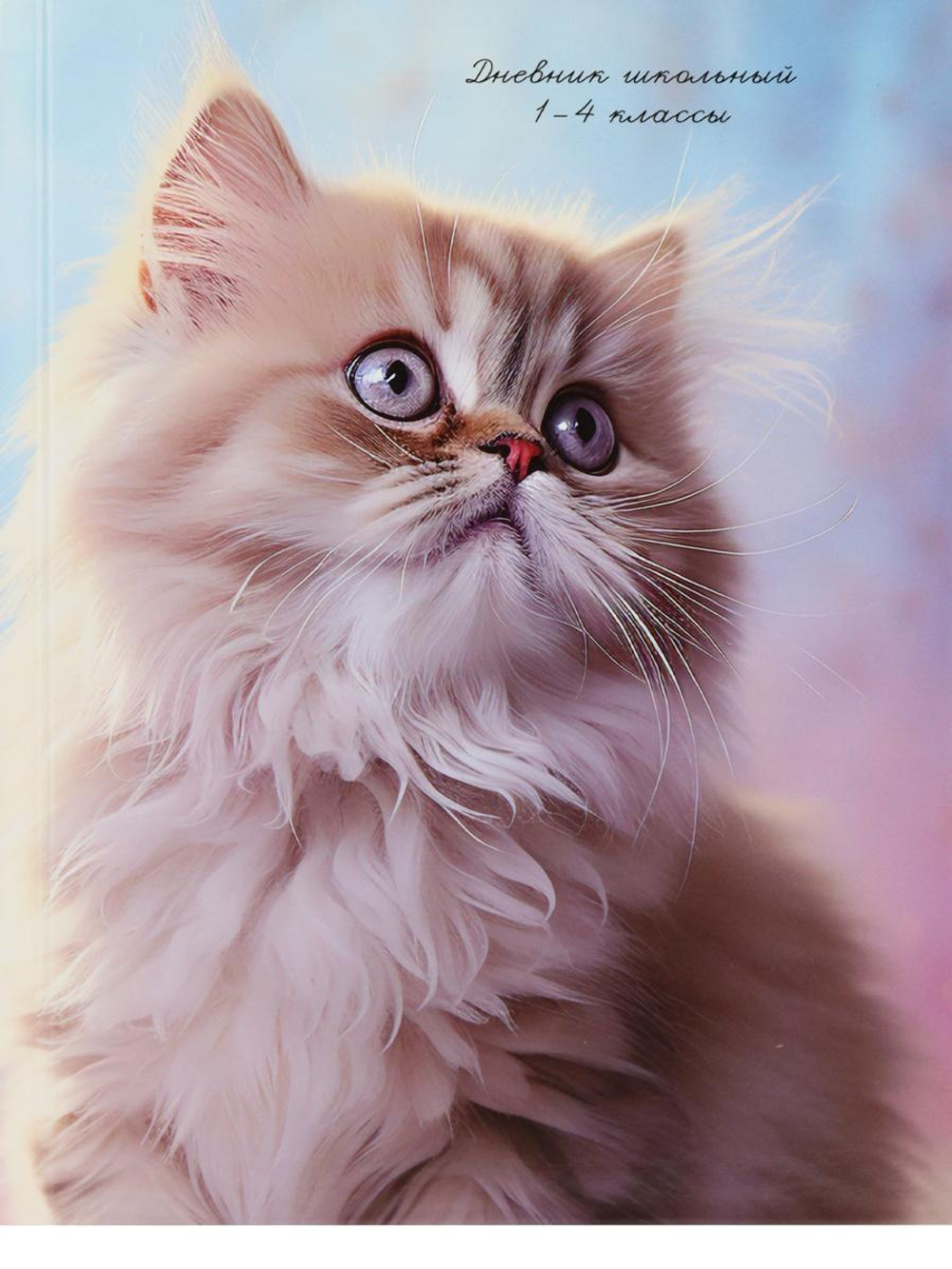 Дневник школьный 48л. 1-4 классы "Нежный котик" (Проф-Пресс)