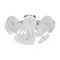 Люстра FR5274CL-06CH Бриллия / Brillia E14x6 Freya fr5274cl-06ch