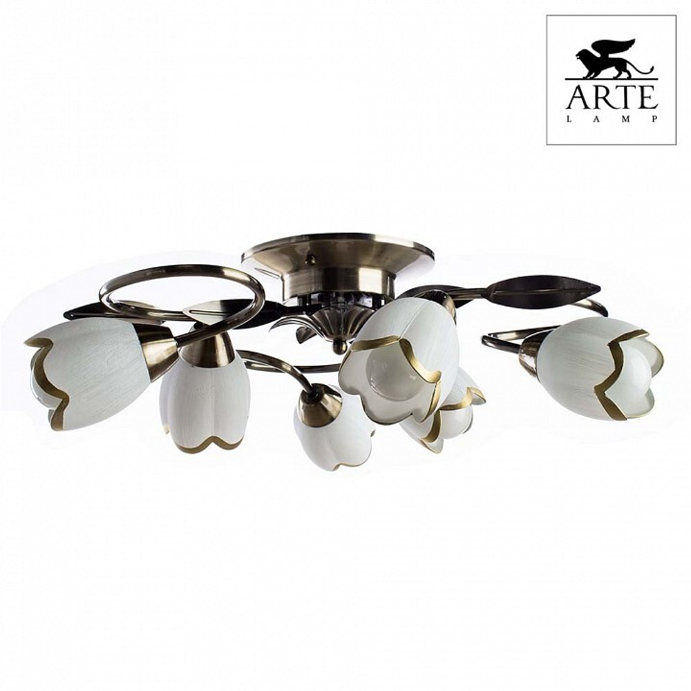 Накладная люстра Arte Lamp A6061PL-6AB
