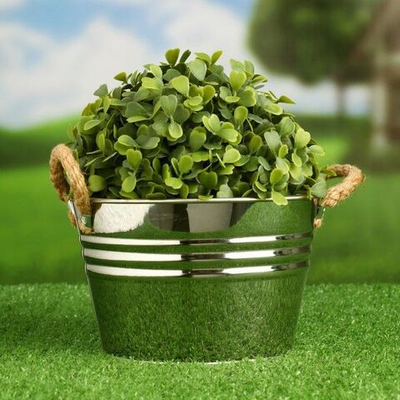 Низкое кашпо «Ведерко Элла» (Цвет: не задано)