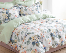 Постельное белье СайлиД BR-018 сатин