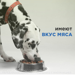 Таблетки для лечения инфекционных заболеваний у собак крупных пород со вкусом мяса Энроксил 150мг (KRKA), 10 таблеток Энрофлоксацин
