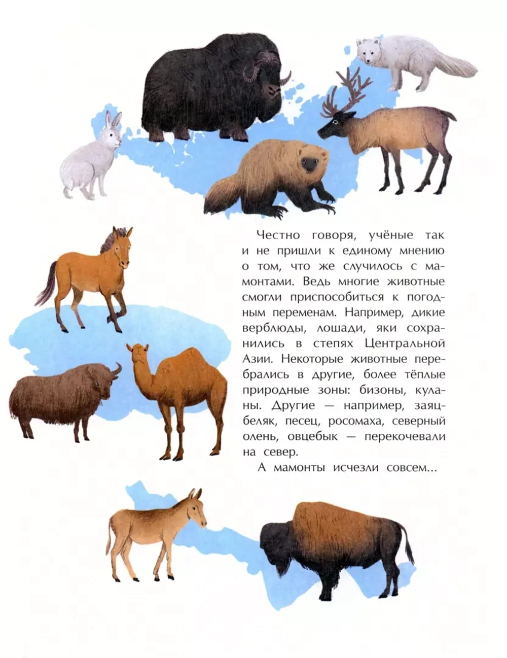 Мамонты. Дима, Женя и другие