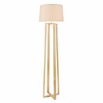 Напольный светильник (торшер) Freya FR5134-FL-01-BG