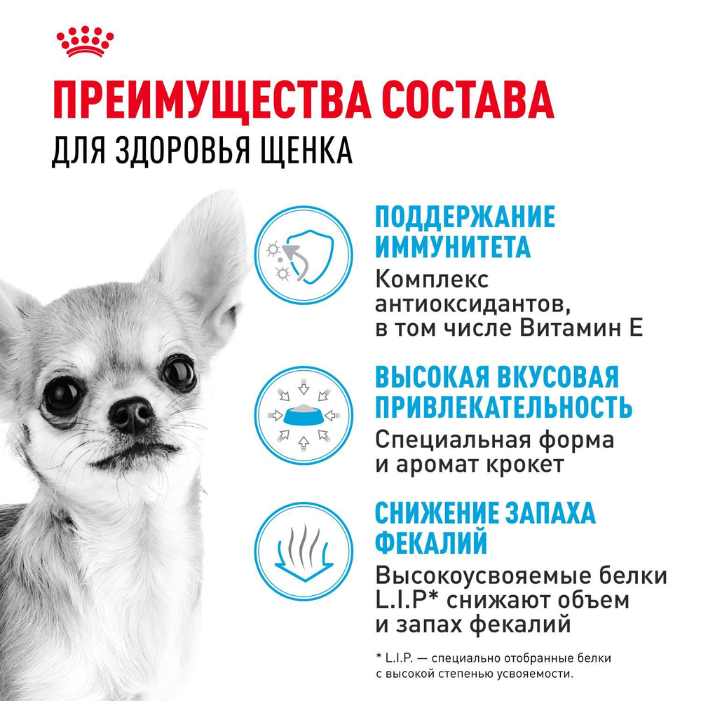 Royal Canin Chihuahua Puppy Корм сухой для щенков породы Чихуахуа до 8 месяцев 0,5 кг