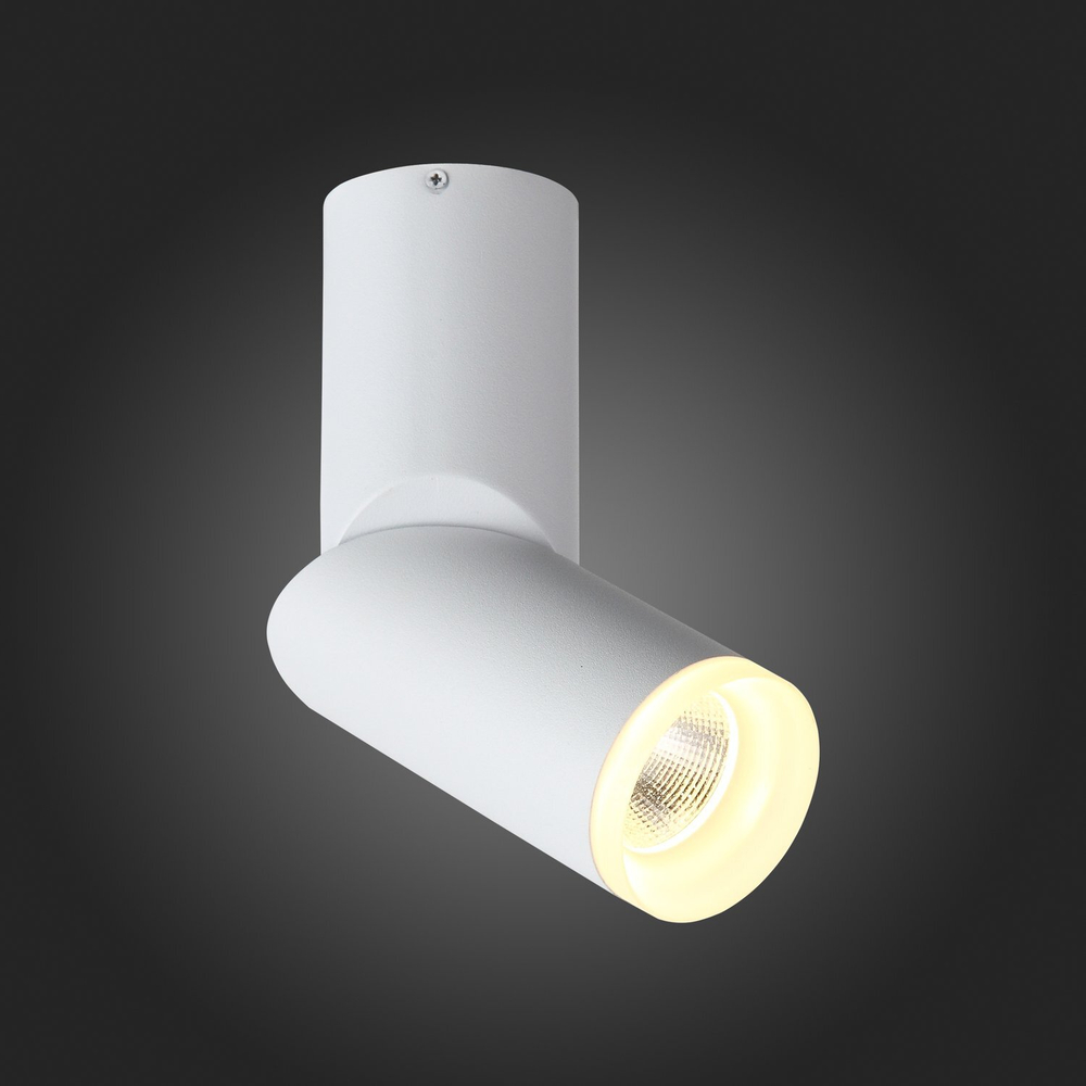 ST107.502.10 Светильник потолочный Белый LED 1*10W 3000K 780Lm Ra&gt;80  D50xH168 170-240V Накладные светильники