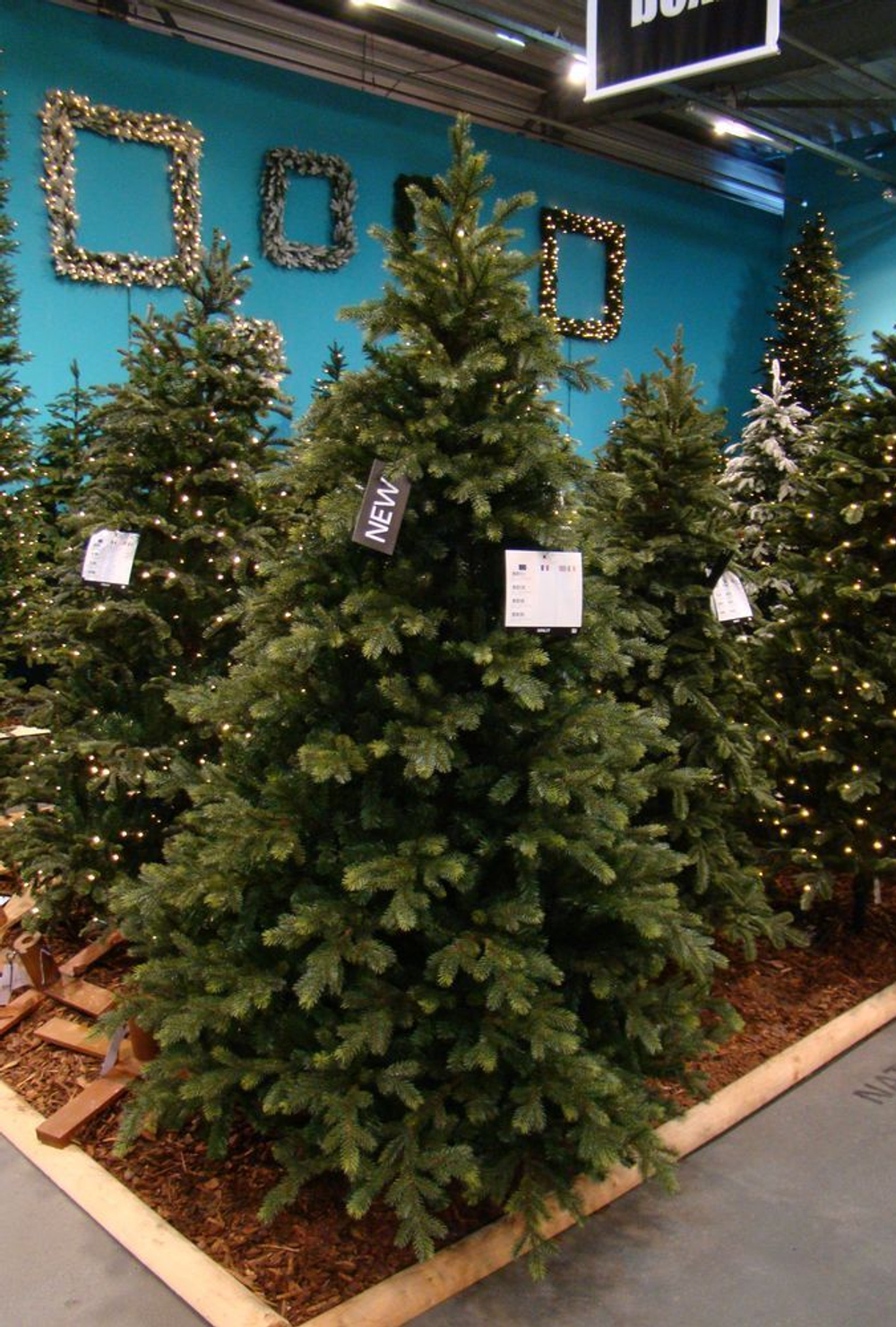 Сосна 260 см Black Box Датская Голландия фото