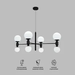 30182/8 / потолочный светильник/ черный Smart
