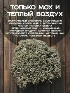 Ягель олений мох (кладония)