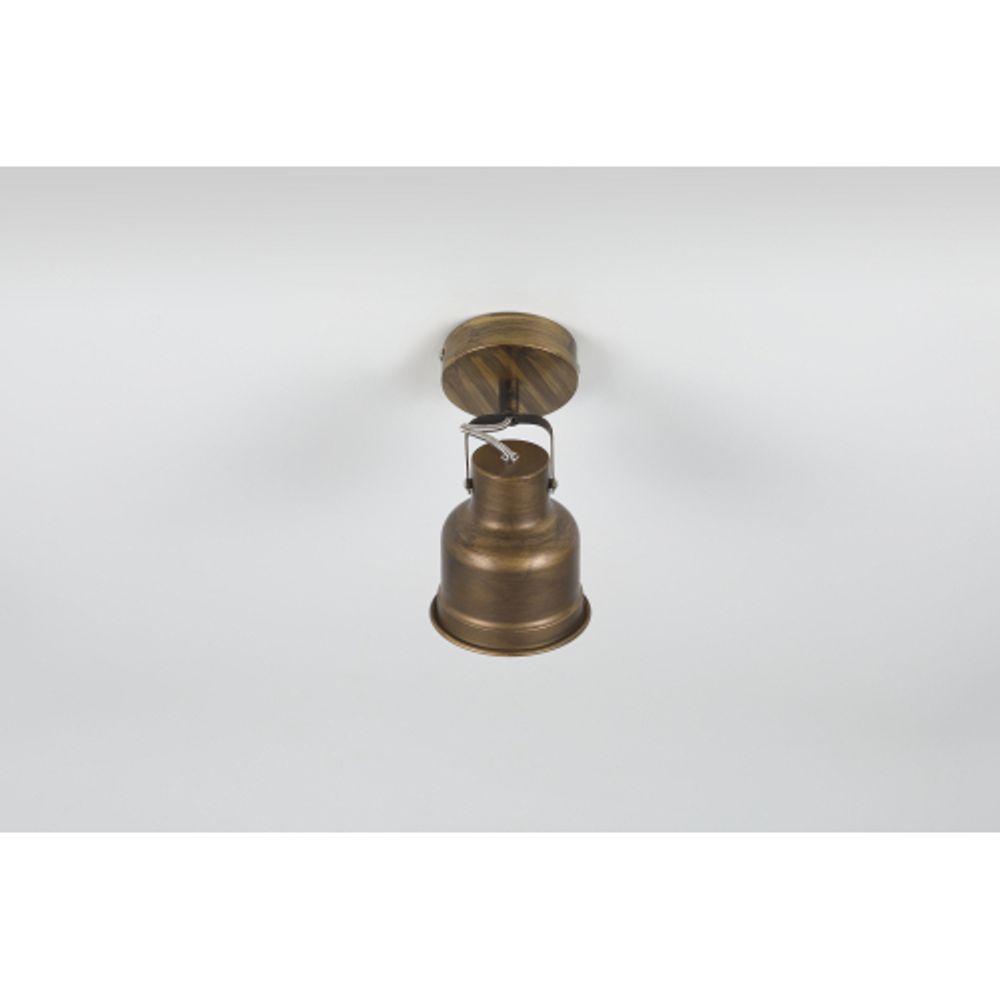 Светильник настенно-потолочный спот Rivoli Inessa 7035-701 поворотный 1 х Е27 40 Вт