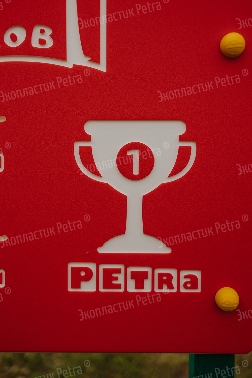 Уличный модуль Счёт очков