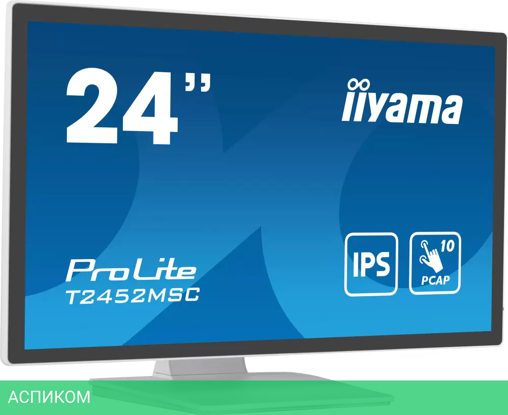 Монитор Iiyama ProLite T2452MSC-W1