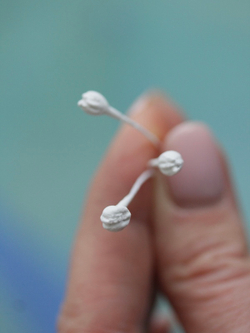 Тычинки для Сирени