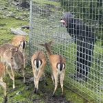 Худи Смерч Ман темно-серый