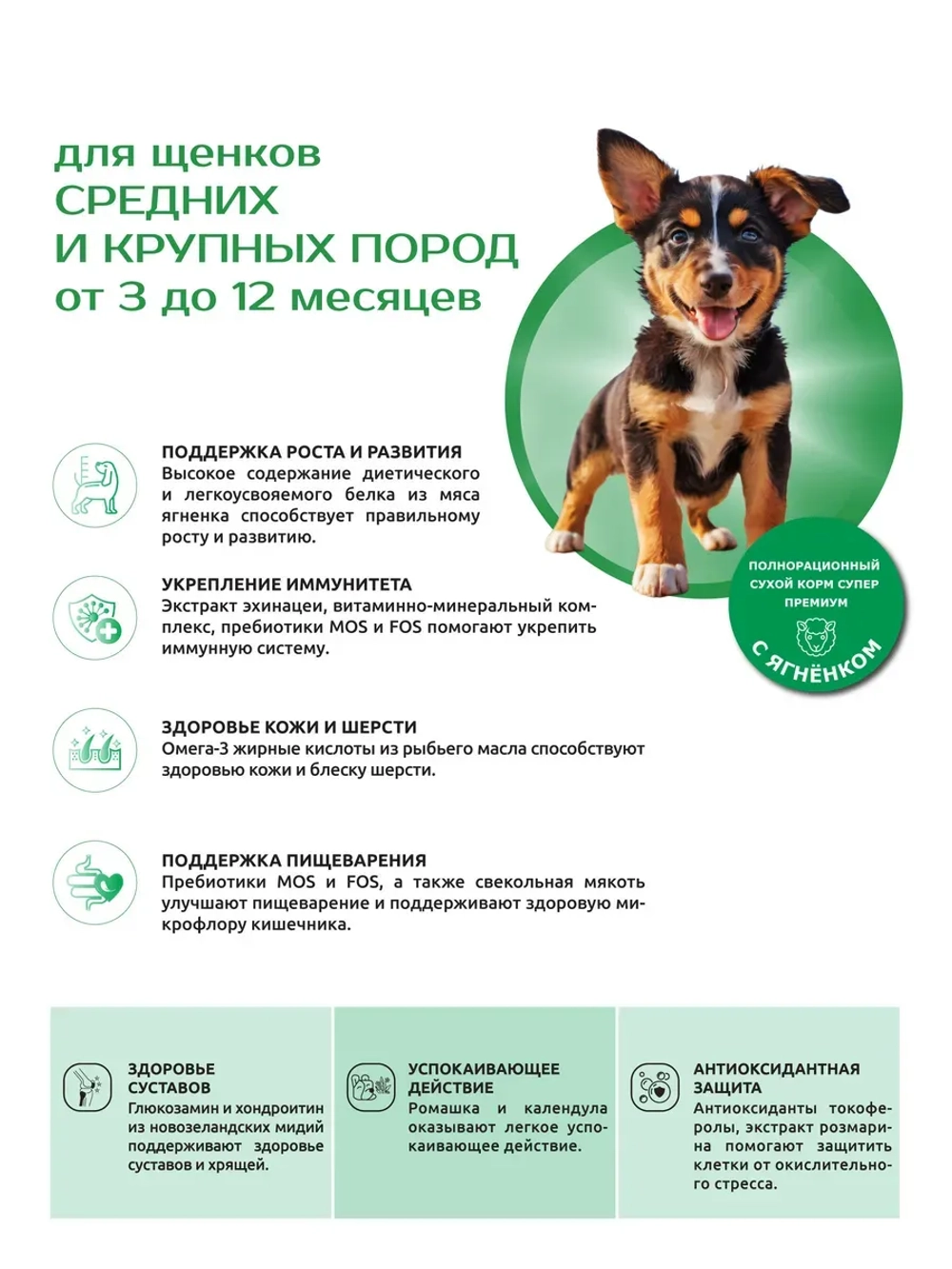 Сухой корм для средних и крупных щенков, с ягненком 2,5 кг