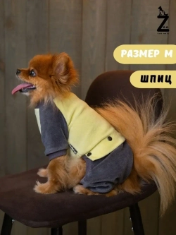 Комбинезон костюм для собак и кошек