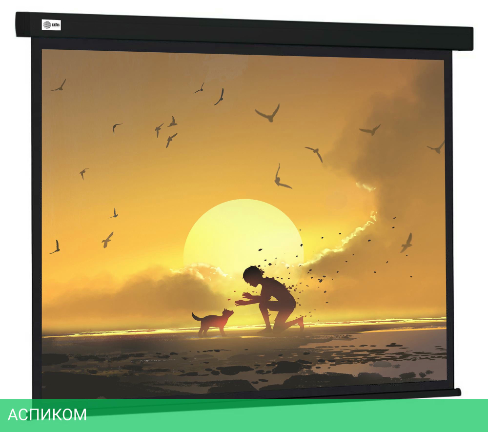 Проекционный экран Cactus CS-PSW-150X150-BK черный
