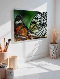 Картина на стену 40 X 50 Бабочки