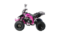 Квадроцикл MOTAX ATV T-Rex Super LUX 50 сс