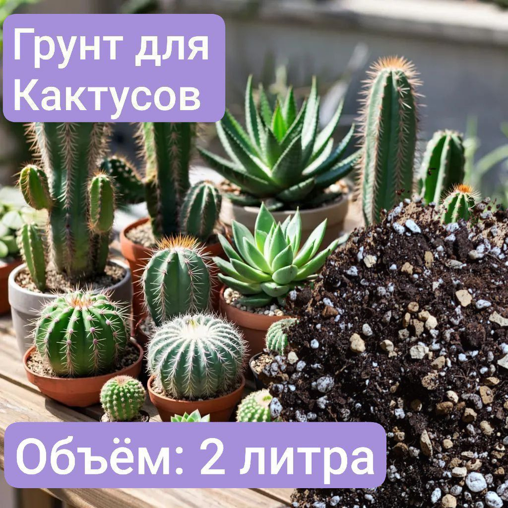 Авторский грунт для Какутусов 2 литра
