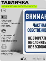 Табличка для частной территории "Внимание, частная собственность", на дом, для участка, организаций, предупреждающая, 40х30 см, Silver Plane x Айдентика Технолоджи