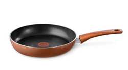 Набор сковород Tefal Performa 2 предмета 22/26 см 04190810