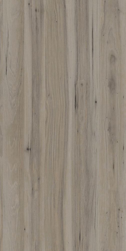 Дуб Мичиган