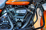 Harley-Davidson® Road King Special®