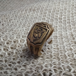 Кольцо. Лёвик 15 в.