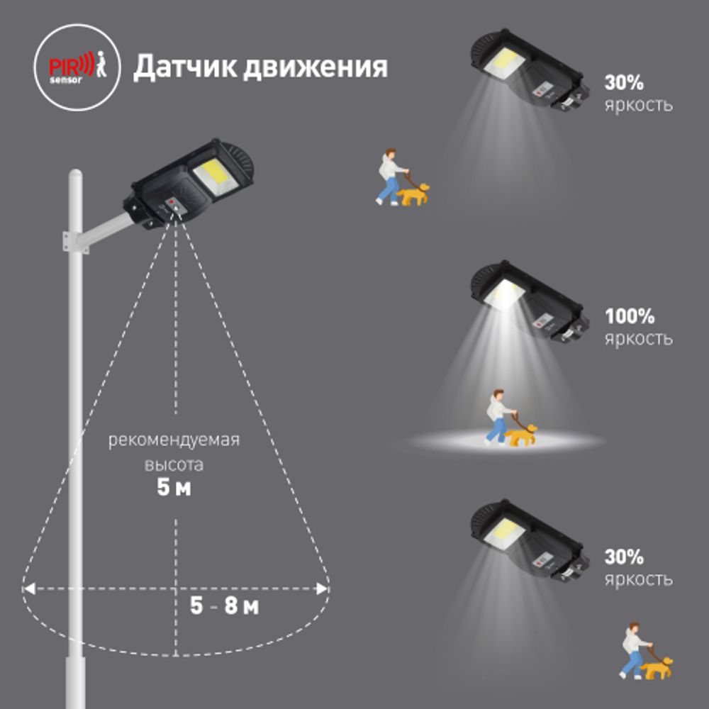 Консольный светильник ЭРА ERAKSC20-01 светодиодный уличный на солнечных батареях с датчиком движения 20 W 450 lm