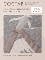 Покрывало двухстороннее Aurora Veil PAV001