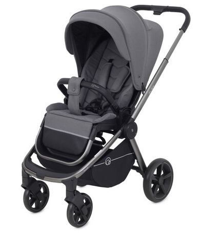 Детская прогулочная коляска Rant Flex Pro 2023 Grey