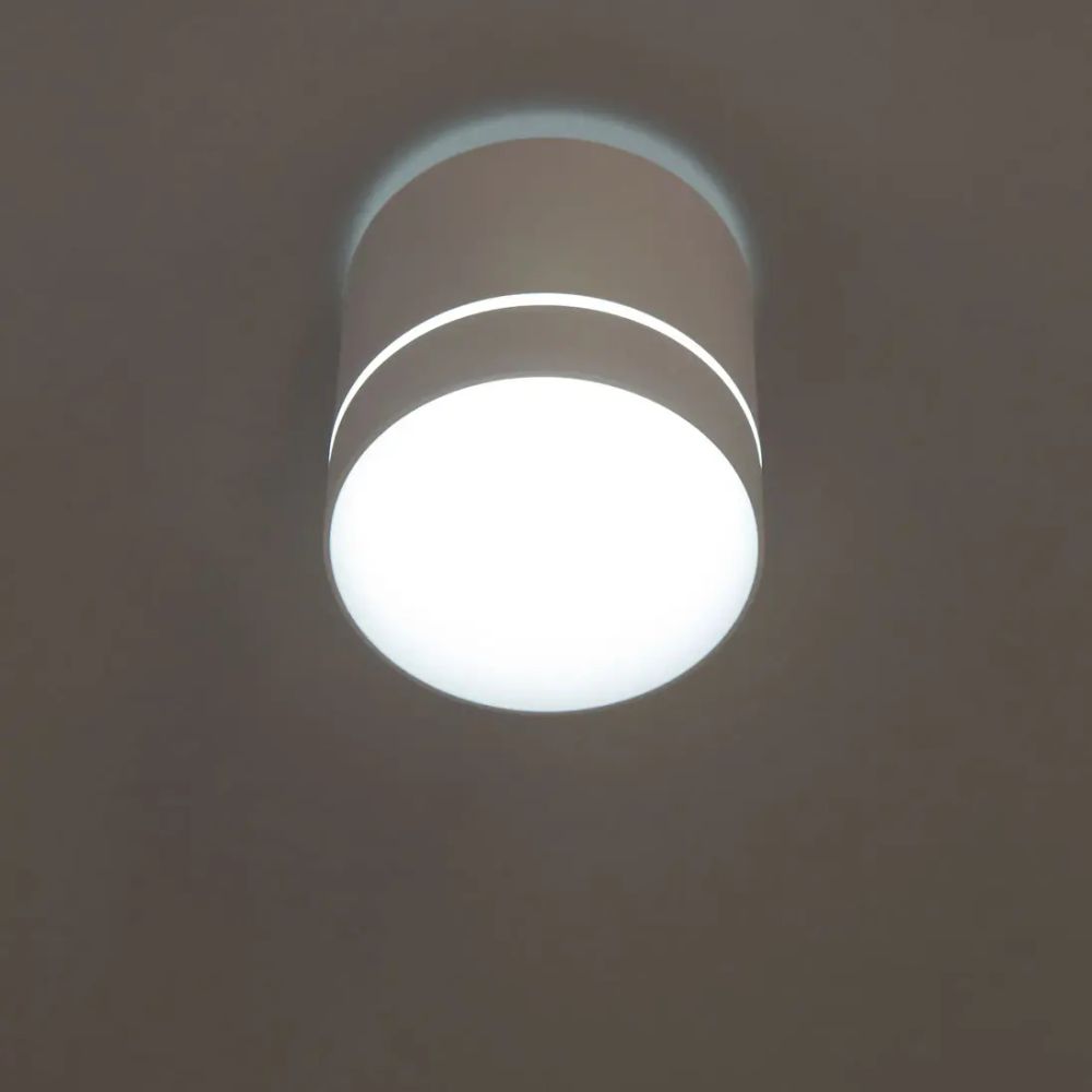 Citilux Борн CL745020N LED Светильник накладной Белый