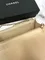 Сумка-кошелек Chanel Wallet On A Chain кремовый