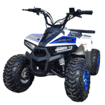 Квадроцикл YACOTA Raposa